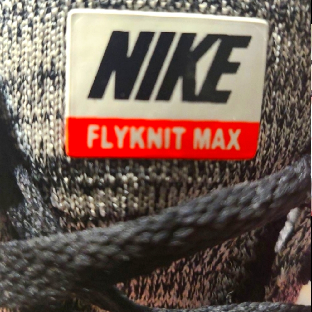 Nike Flynit Max